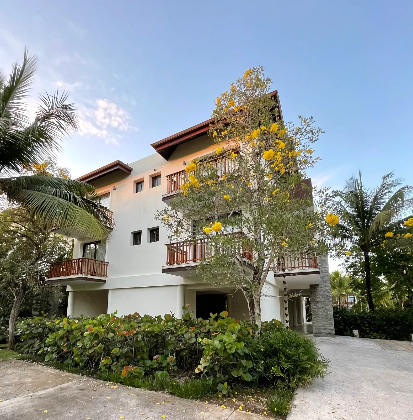 Apartamento en alquiler en primera línea de playa, Portillo — foto 1